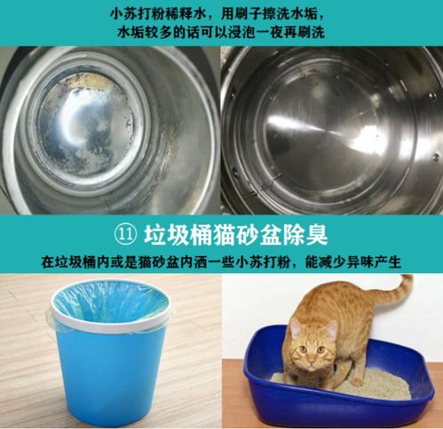 一物多用，清潔無憂——小蘇打粉的全方位清潔指南